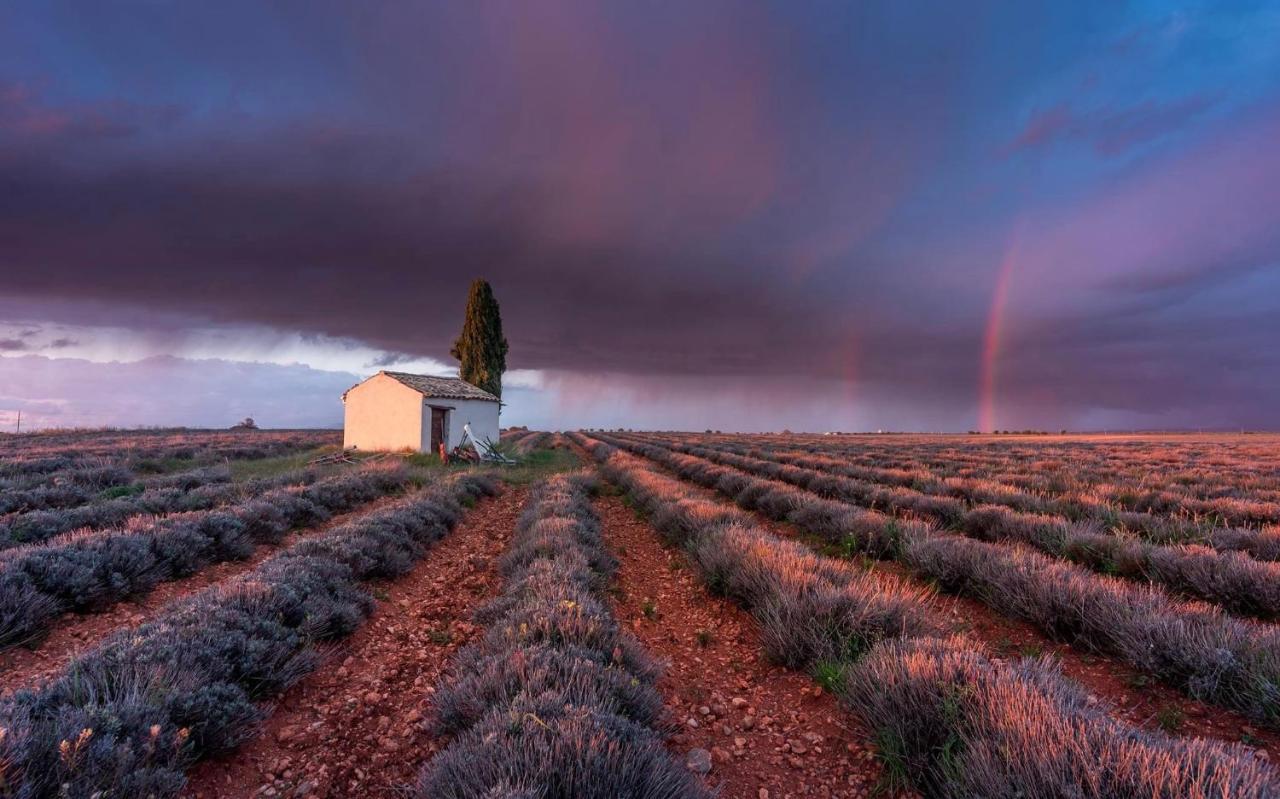 Gite La Maison Dans L'Olivette Oraison Buitenkant foto