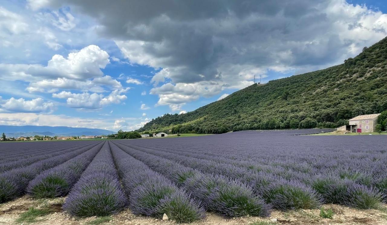 Gite La Maison Dans L'Olivette Oraison Buitenkant foto